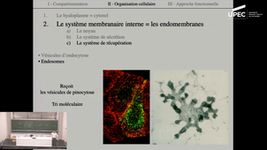 Biologie Cellulaire - Cours 7. Chap 2. II - L'organisation cellulaire (suite). Endomembranes (fin). Cytosquelette (début)
