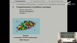 Biologie Cellulaire - Cours 5. Chap 2 - Théorie cellulaire. I - La compartimentation (fin). II L'organisation cellulaire (début)